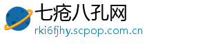 七疮八孔网
